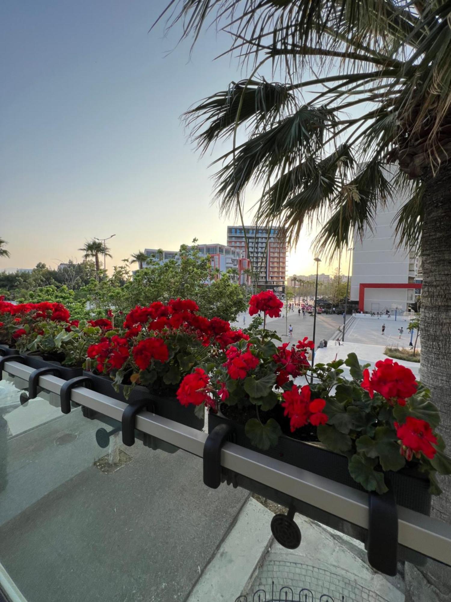 Dot Tradition Vlore Exterior photo